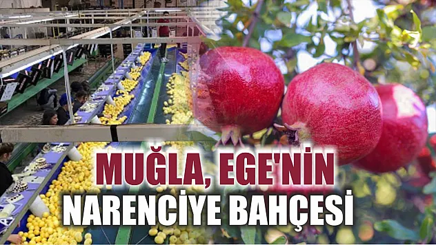 Muğla, Ege'nin Narenciye Bahçesi