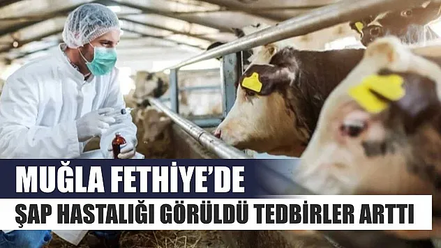 Muğla Fethiye'de şap hastalığı görüldü tedbirler arttı