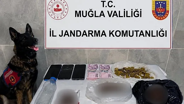 Muğla Jandarmasından Temmuz Ayında Kaçakçılık Operasyonları