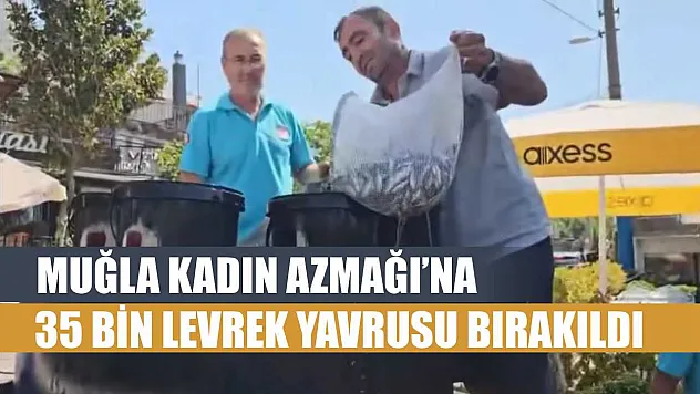 Muğla Kadın Azmağı'na 35 Bin Levrek Yavrusu Bırakıldı
