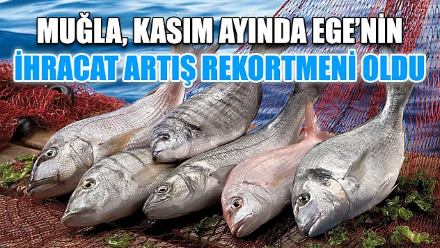 Muğla, Kasım ayında Ege'nin ihracat artış rekortmeni oldu