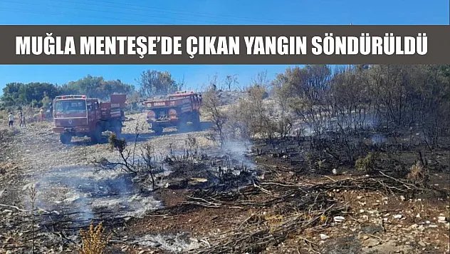 Muğla Menteşe'de çıkan yangın söndürüldü