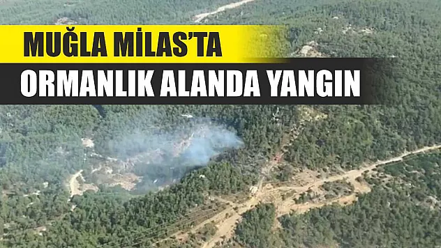 Muğla Milas'ta ormanlık alanda yangın
