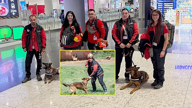 Muğla NAK Arama Kurtarma Köpekleri Macaristan'da sahaya indi