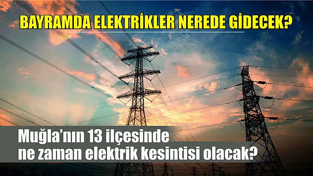 Muğla'nın 13 ilçesinde ne zaman elektrik kesintisi olacak? Muğla'da bayramda elektrikler nerede gidecek?