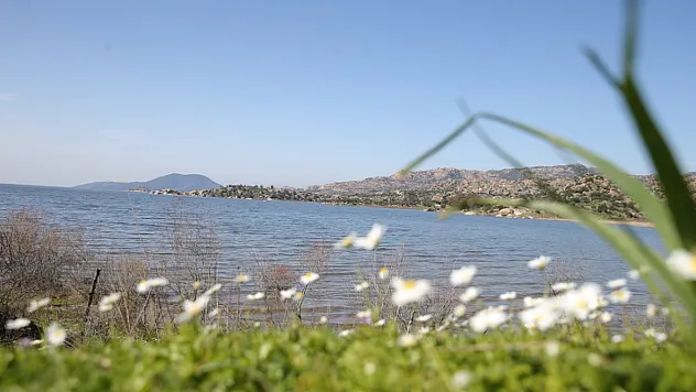 Muğla'nın Bafa Gölü'nde su seviyesi arttı, balık bolluğu yaşanıyor