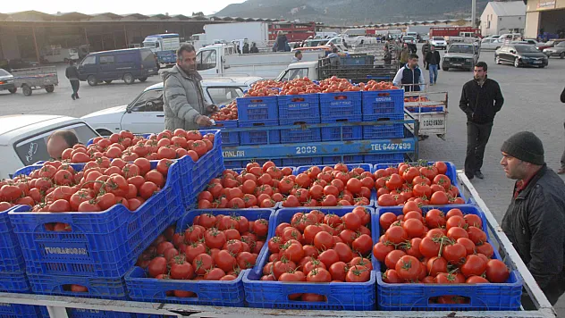 Muğla'nın Haziran ayı ihracatı 125,9 milyon dolar
