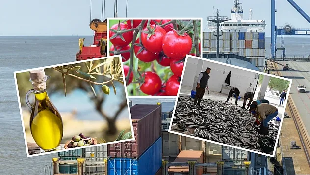 Muğla'nın Mayıs ayı ihracatı 107 milyon dolar