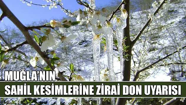 Muğla'nın sahil kesimlerine zirai don uyarısı