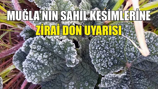 Muğla'nın sahil kesimlerine zirai don uyarısı