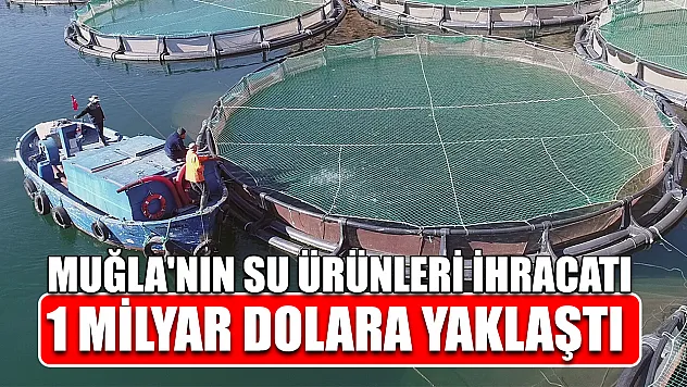 Muğla'nın su ürünleri ihracatı 1 milyar dolara yaklaştı