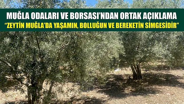 Muğla Odaları Ve Borsası'ndan Ortak Açıklama: 'Zeytin Muğla'da Yaşamın, Bolluğun Ve Bereketin Simgesidir'