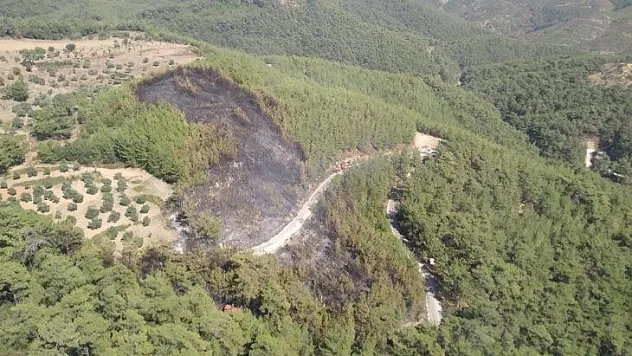Muğla Orman Bölge Müdürlüğü'nün anında müdahalesi faciayı önledi