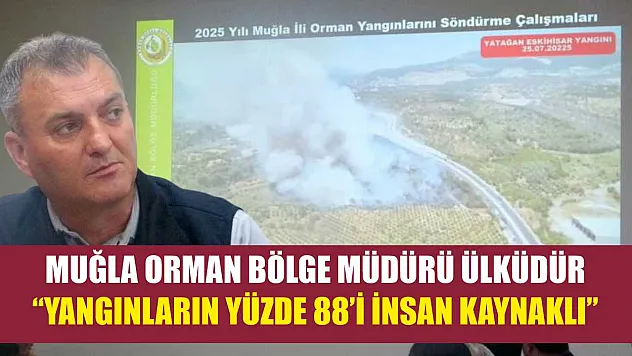 Muğla Orman Bölge Müdürü Ülküdür: 'Yangınların yüzde 88'i insan kaynaklı'