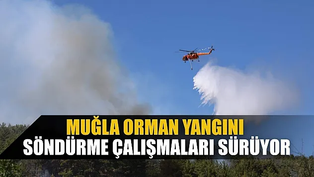 Muğla orman yangını söndürme çalışmaları sürüyor