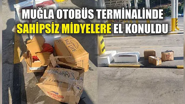 Muğla otobüs terminalinde sahipsiz midyelere el konuldu