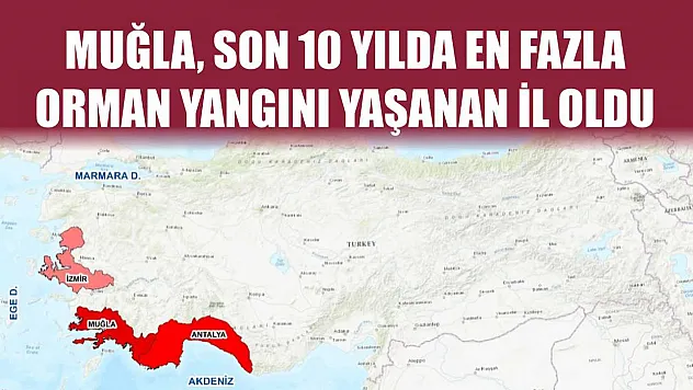 Muğla, Son 10 Yılda En Fazla Orman Yangını Yaşanan İl Oldu