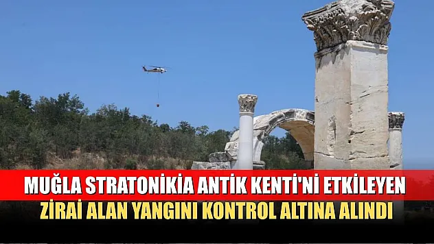 Muğla Stratonikia Antik Kenti'ni etkileyen zirai alan yangını kontrol altına alındı