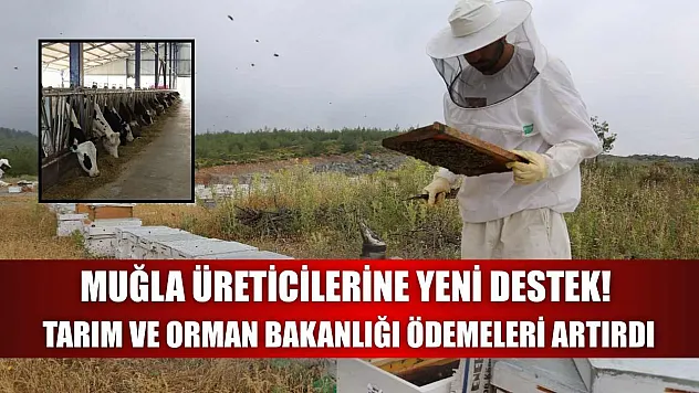 Muğla Üreticilerine Yeni Destek! Tarım ve Orman Bakanlığı Ödemeleri Artırdı