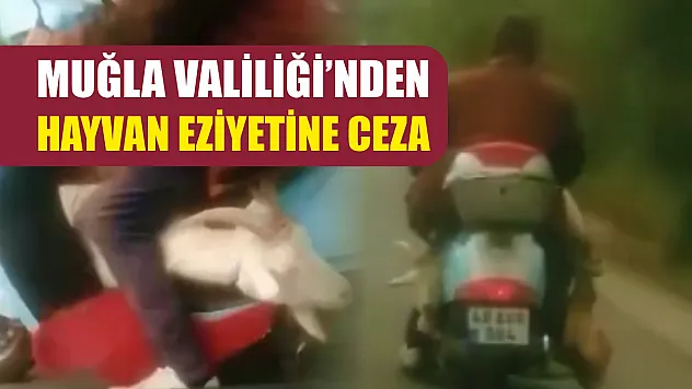 Muğla Valiliği'nden hayvan eziyetine ceza