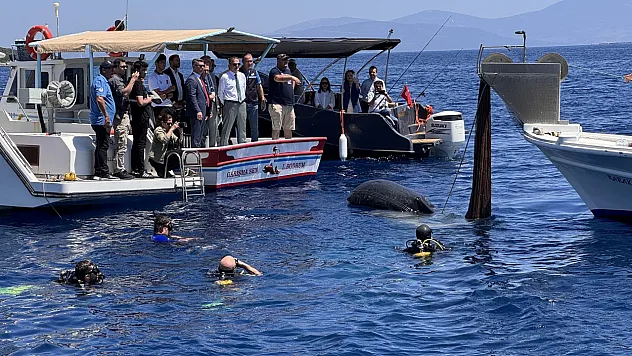 Muğla Valisi Akbıyık'ın katılımıyla Bodrum'da hayalet ağ ve deniz temizliği yapıldı