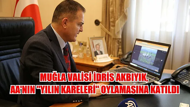 Muğla Valisi İdris Akbıyık, AA'nın yılın kareleri oylamasına katıldı