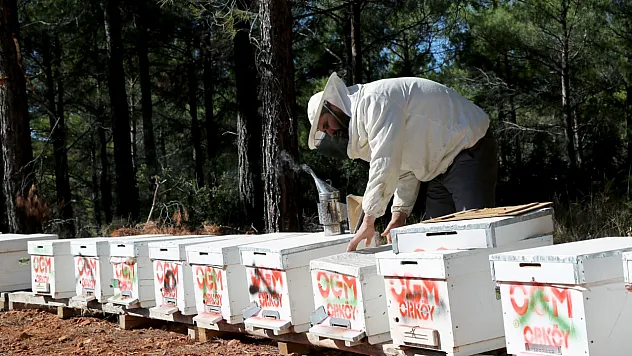 Muğla'ya 30 Milyon TL destek