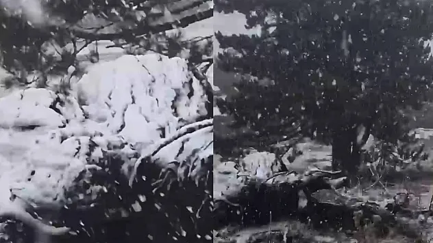 Muğla'ya sezonun ilk karı yağdı