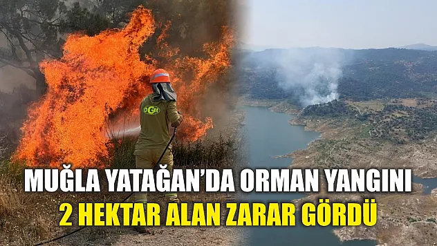 Muğla Yatağan'da orman yangını: 2 hektar alan zarar gördü