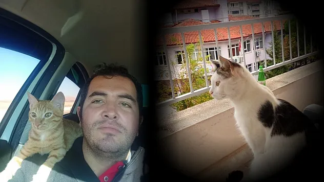 Muğlalı Hasan, kaybolan kedisi için binlerce kilometre yol yaptı