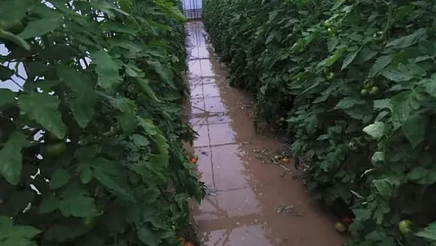 Muhtardan yetkililere 'Yazıklar olsun'