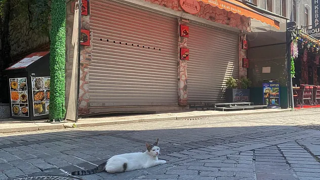 Mühürlü boş dükkandan yayılan kötü koku ekipleri harekete geçirdi