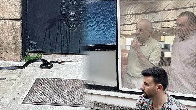 Namaza gelen cemaat karşılaştıkları yılanı önce oyuncak sandı, hareket edince telefona sarıldı