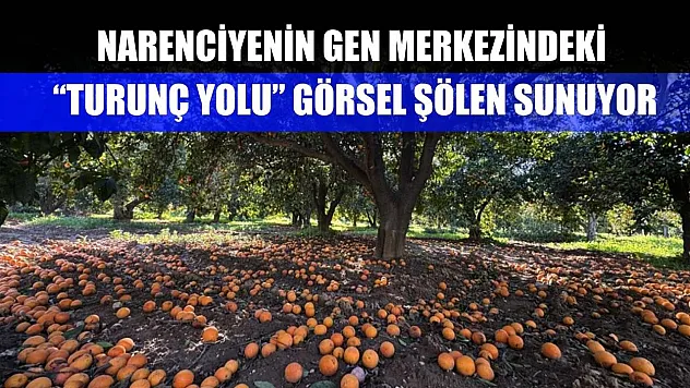 Narenciyenin gen merkezindeki 'Turunç Yolu' görsel şölen sunuyor