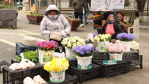 Nergisler Menteşe pazarına renk katıyor