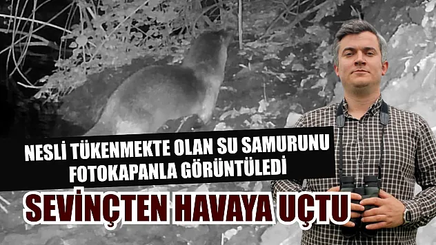 Nesli tükenmekte olan su samurunu fotokapanla görüntüledi: Sevinçten havaya uçtu