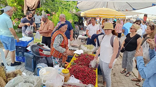 Nif Kiraz Festivali Coşkusu Başladı: Yöresel Lezzetler ve Renkli Etkinlikler İlgi Gördü