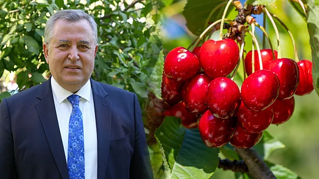Nif Kirazı'na Coğrafi İşaret Müjdesi