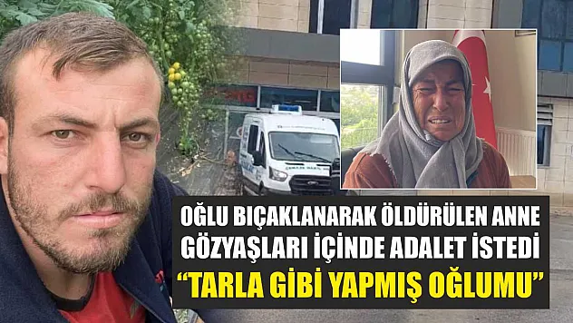 Oğlu bıçaklanarak öldürülen anne gözyaşları içinde adalet istedi: 'Tarla gibi yapmış oğlumu'