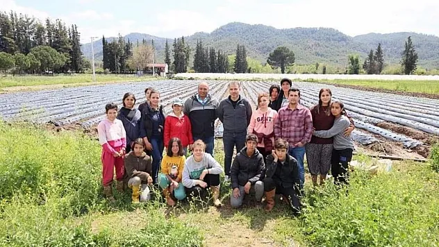 Öğrenciler Çilek yetiştiriciliğine başladı