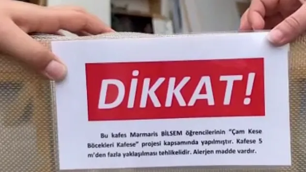 Öğrencilerden çam kese böceği zararlısına kafesli önlem