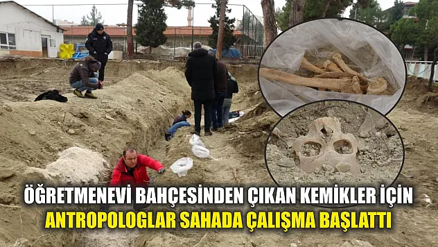 Öğretmenevi bahçesinden çıkan kemikler için antropologlar sahada çalışma başlattı