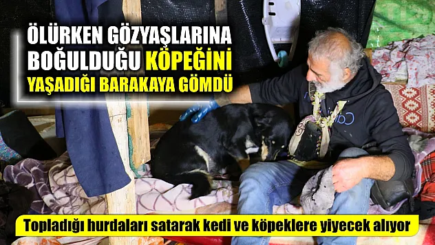 Ölürken gözyaşlarına boğulduğu köpeğini yaşadığı barakaya gömdü