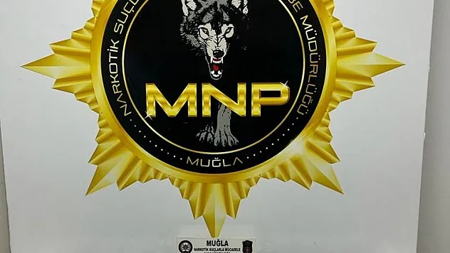 Operasyonda 2 tutuklama