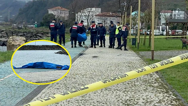 Ordu'da sahile insansız araç olduğu değerlendirilen cisim vurdu