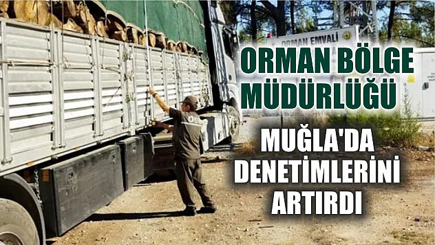 Orman Bölge Müdürlüğü Muğla'da denetimlerini artırdı