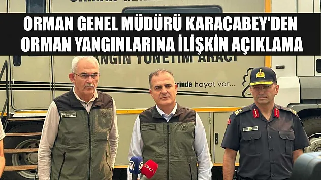 Orman Genel Müdürü Karacabey'den orman yangınlarına ilişkin açıklama
