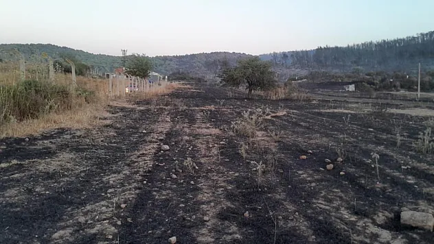 Orman yangını kontrol altına alındı