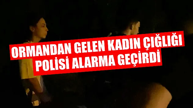 Ormandan gelen kadın çığlığı polisi alarma geçirdi