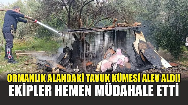 Ormanlık alandaki tavuk kümesi alev aldı! ekipler hemen müdahale etti